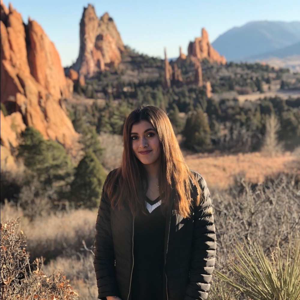 H&M SWEATER! (no longer sold in stores)